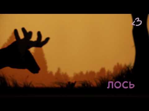 Видео: Как сделать театр теней у себя дома