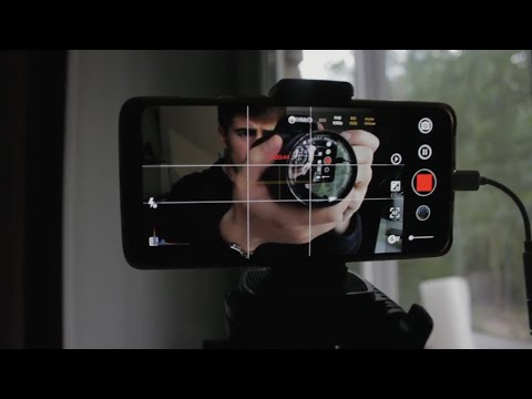 Видео: Как заставить себя похудеть