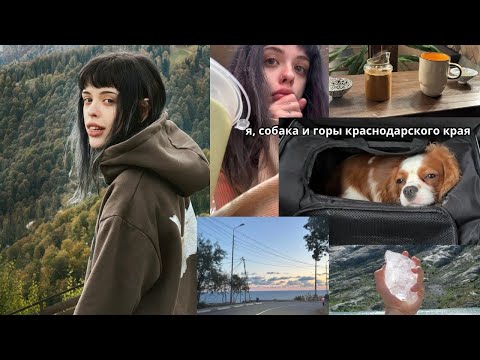 Видео: ретрит в горах и собака-путешественник.mp4