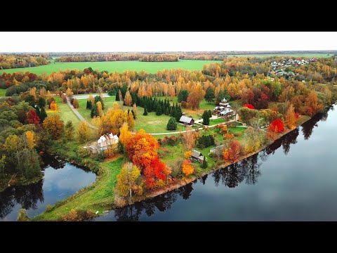 Видео: Осень в музее-усадьбе И.Е. Репина "Здравнёво"