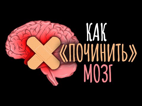 Видео: Как вырастить новые нейроны и как мозг сам себя лечит / #ТЕДсаммари