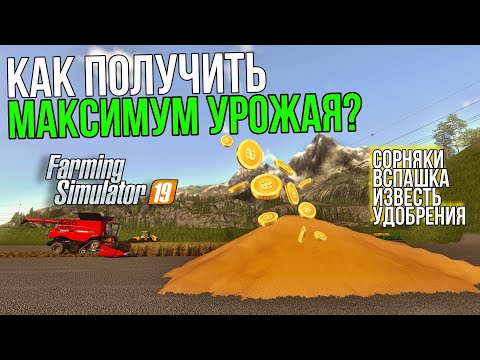 Видео: Как получить максимальный объем урожая? | Farming Simulator 19