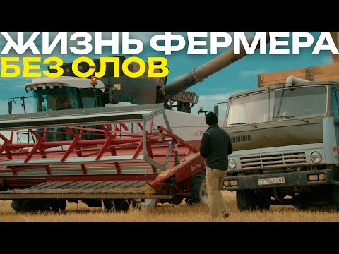 Видео: Без слов - но с душой. Один день фермера.