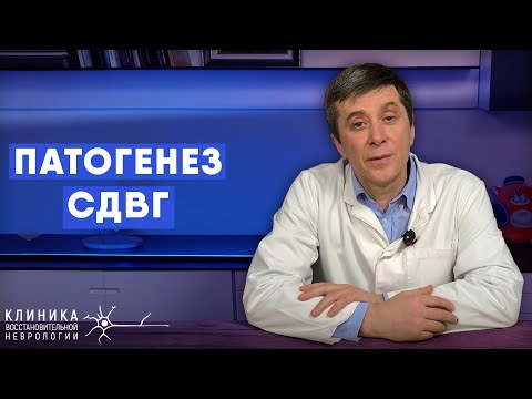 Видео: Патогенез СДВГ