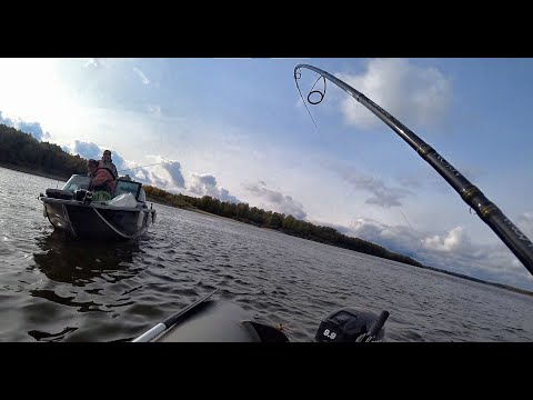 Видео: ШОКИРУЮЩАЯ РАЗДАЧА ТРОФЕЕВ!!ТАКОЕ РАЗ В ГОД!!Трофейная рыбалка на Оби, крупный судак,щука,джиг.