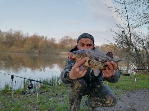Видео: Ловля карпа с ночёвкой! Ночной зверь клюнув!