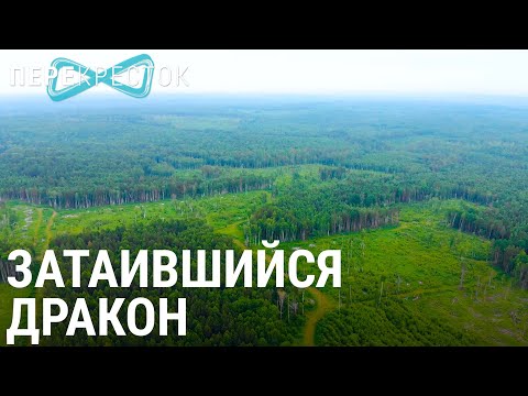 Видео: Затаившийся дракон | ПЕРЕКРЁСТОК