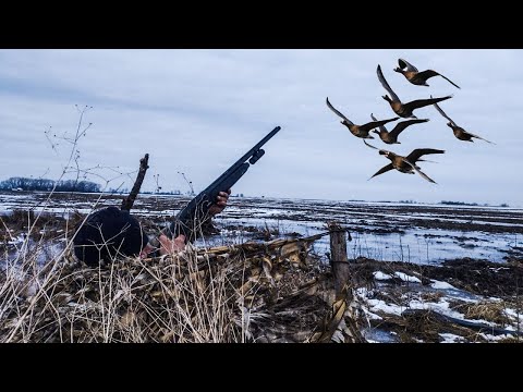Видео: ЛУЧШАЯ ОХОТА НА ГУСЯ СЕЗОНА 2023. День первый