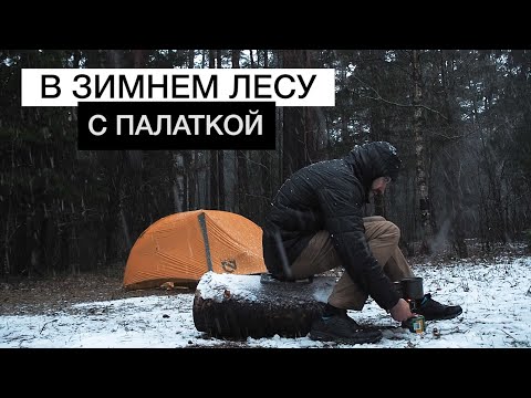 Видео: C ПАЛАТКОЙ в ЗИМНИЙ лес | Поход по зимнему лесу