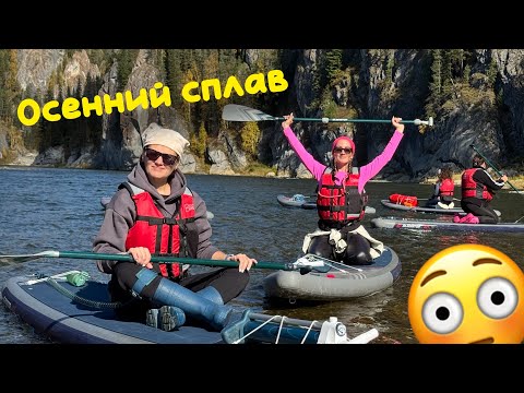 Видео: Однодневный сплав на сапах по Кии в сентябре. #сплавы #активныйотдых #сапы #кия