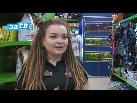 Видео: Планета ZOO// Попугай пестрая розелла.