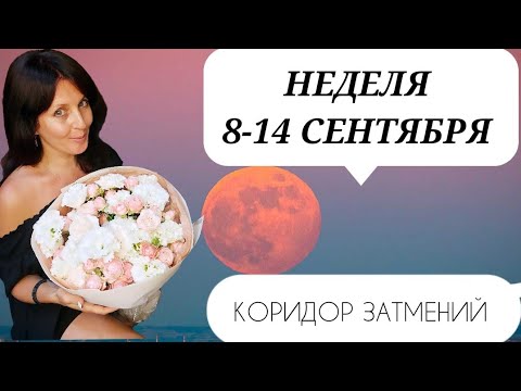 Видео: КОРИДОР ЗАТМЕНИЙ. НЕДЕЛЯ С 8 ПО 14 СЕНТЯБРЯ. 