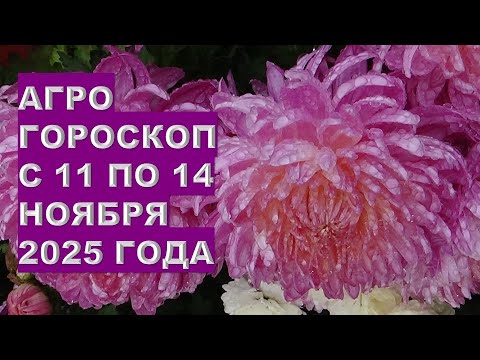 Видео: Лучшие советы для дачников на 11 -14 ноября 2025!