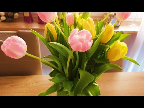 Видео: Как я замораживаю Томат Дрожжи Выпечку!