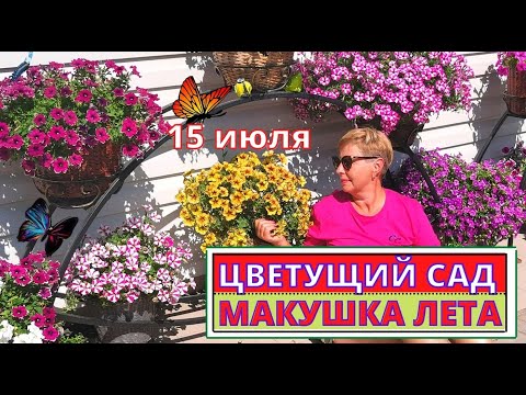 Видео: ЯРКОЕ ЦВЕТЕНИЕ  сада. Обзор  на 15 июля