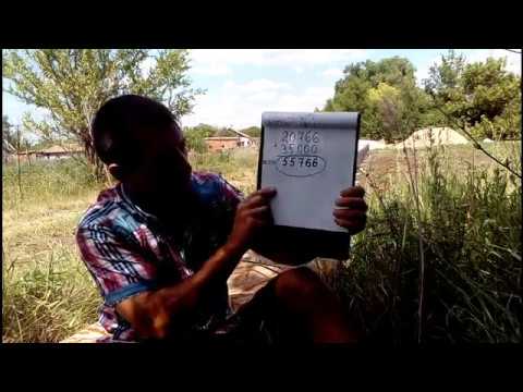 Видео: сколько я заработал с продажи рассады в 2018 году