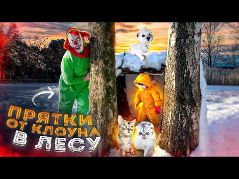 Видео: Прячем котов ОТ СТРАШНОГО КЛОУНА в лесу