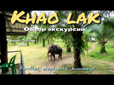 Видео: Кхао Лак |экскурсия|полный обзор|Пхукет 2023, Тайланд #пхукет #тайланд #слоны #travel