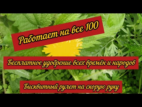 Видео: Бесплатное удобрение всех времен и народов. Ваши розы будут довольны и счастливы.