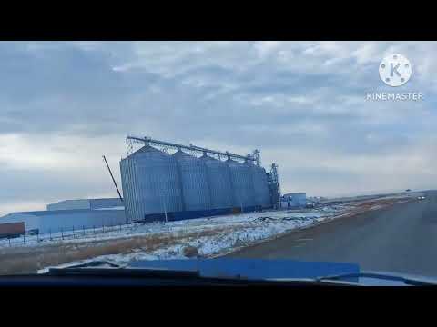 Видео: Жизнь в селе#Казахстан#Едем в Кокшетау на газ 53.