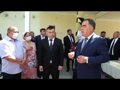 Видео: Конибодом