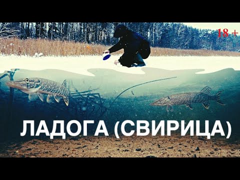 Видео: Рыбалка на Ладоге 2021 | Ловля щуки на жерлицы и донки