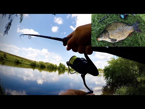 Видео: МІЙ ПЕРШИЙ КАРП НА ФІДЕР|GOLDEN CATCH Verte-X Feeder