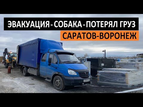 Видео: САРАТОВ - ВОРОНЕЖ. Эвакуация, собака, потеря груза. Перевозчик РФ