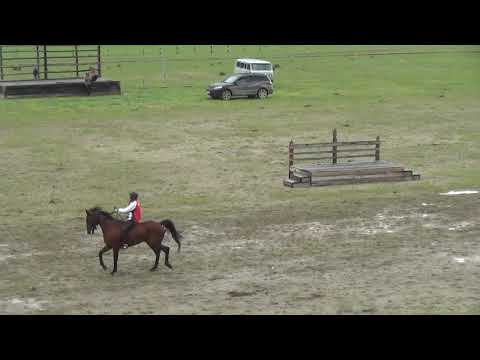 Видео: Открытие скакового сезона 2021 с.Ело 1800м