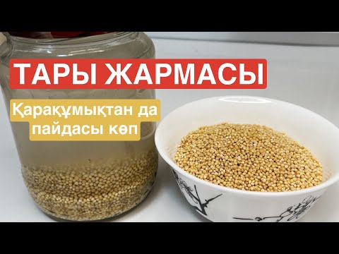 Видео: Тары жармасы ағзаға осылай әсер етеді! Адамдардың 90% бұл туралы білмейді, бекер! Қарап көріңіз …