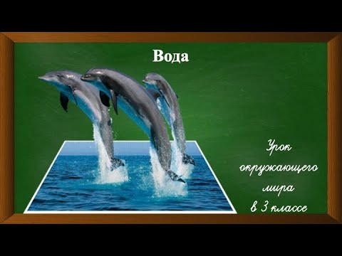 Видео: Вода. Урок окружающего мира в 3 классе