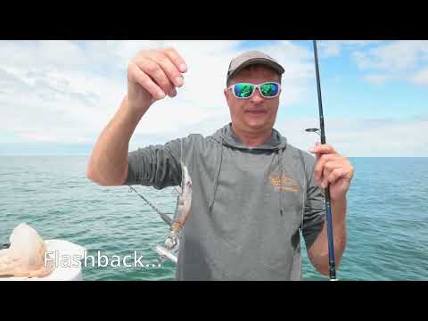 Видео: Happy Fisherman EP149 воспоминания о снаппере