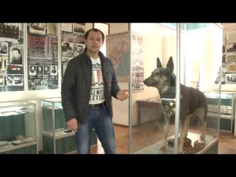 Видео: Где Идем?! Выпуск: Музей милиции