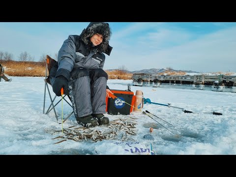 Видео: Корюшка ловится отлично! Ловля корюшки на самодур и махалки. Рыбалка 2025!