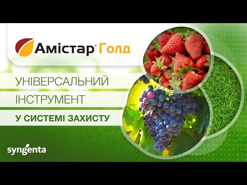 Видео: Амістар® Голд. Універсальний інструмент у системі захисту