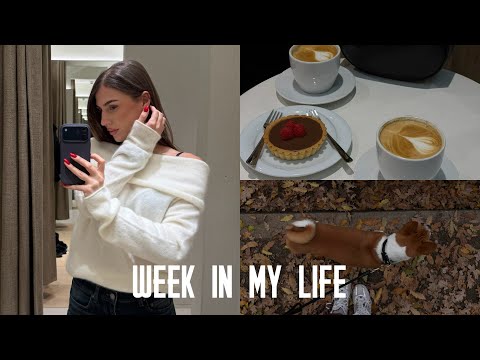 Видео: week in my life | модни находки, с мен на езда, най-лесното тирамису, снимаме кампании и още 💕