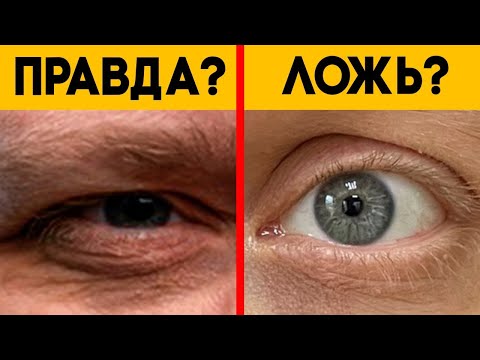 Видео: Как по глазам определить ЛОЖЬ: шокирующие открытия учёных