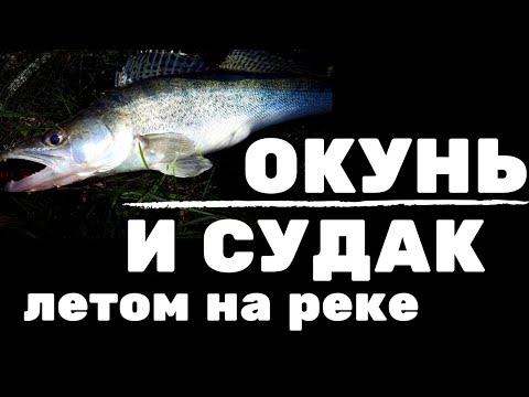 Видео: КАК ПОЙМАТЬ ОКУНЯ И СУДАКА ЛЕТОМ НА РЕКЕ?|Тестируем спиннинг Perfect Jig 81 UL-SS