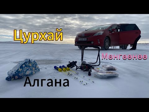 Видео: Загасчлал "Мөс цоолноо"