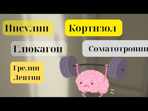 Видео: схема похудения лайт. часть 2.