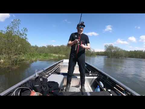 Видео: Камчатка. Река Большая, чавыча, сима и D-Contact 85.