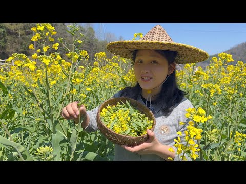 Видео: Вы когда-нибудь ели цветы канолы? Ими можно наслаждаться только раз в году!