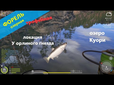 Видео: Русская рыбалка 4 - озеро Куори - Снова трофейная озерная форель