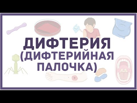 Видео: Дифтерия - C. diphtheriae (дифтерийная палочка), причины, симптомы, диагностика, лечение