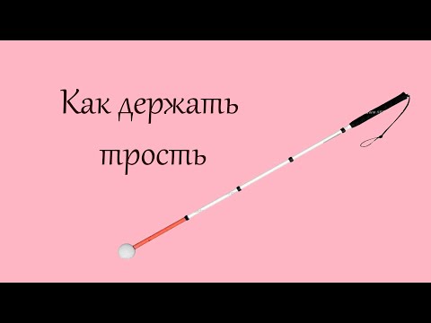Видео: Значение белой трости в жизни незрячих людей – о функциях и приёмах хвата