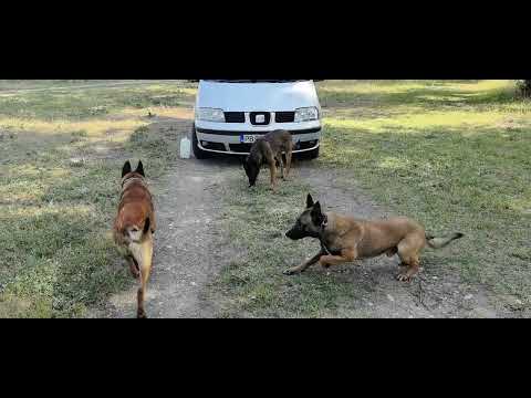 Видео: Ресурсна тренировка!