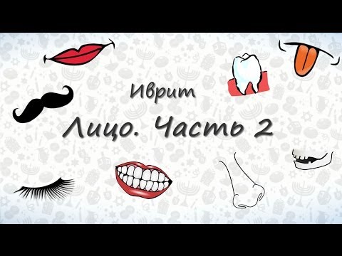 Видео: Части лица на иврите (часть 2). Запоминаем части лица на иврите