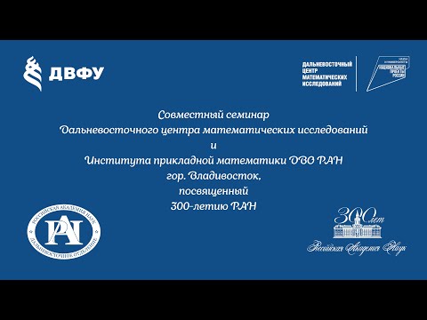 Видео: Совместный семинар РНОМЦ ДЦМИ и ИПМ ДВО РАН - Боршевников А.Е., Павлычев А.В.