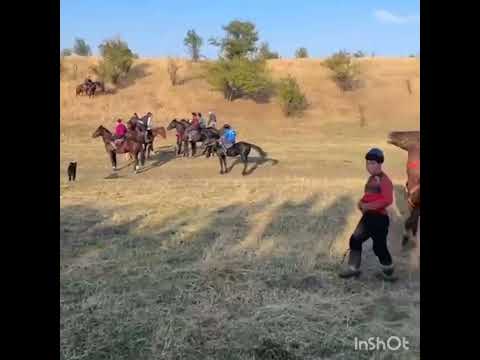 Видео: "Ак-башат" айылында болгон келин той 27.09.25 ж