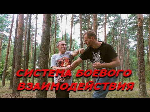 Видео: Боевые искусства - инструкция к применению: СИСТЕМА БОЕВОГО ВЗАИМОДЕЙСТВИЯ с Василием Браницким